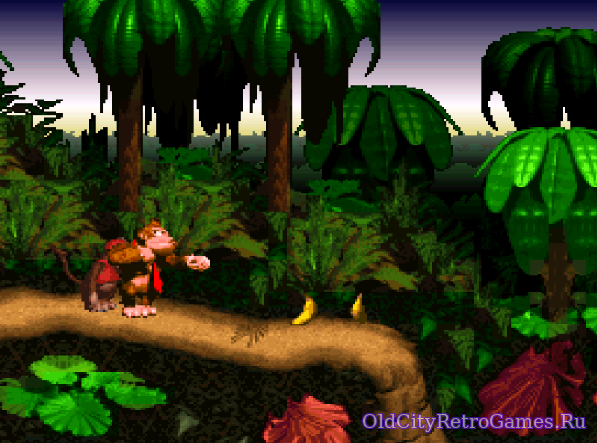 Фрагмент #2 из игры Donkey Kong Country / Страна Донки Конга