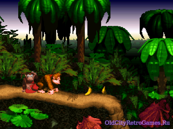 Фрагмент #3 из игры Donkey Kong Country / Страна Донки Конга